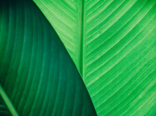 How to find out Psoriasis Or Eczema