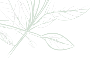 decorative_image