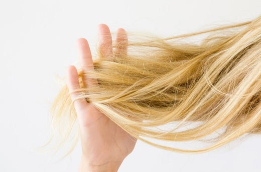 Manuka Honey Shampoo for Dry, Damaged Hair