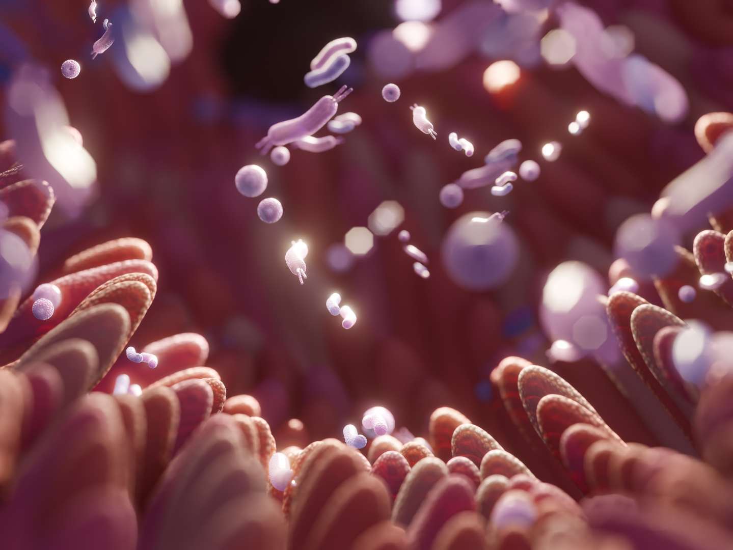 Gut-Skin Connection