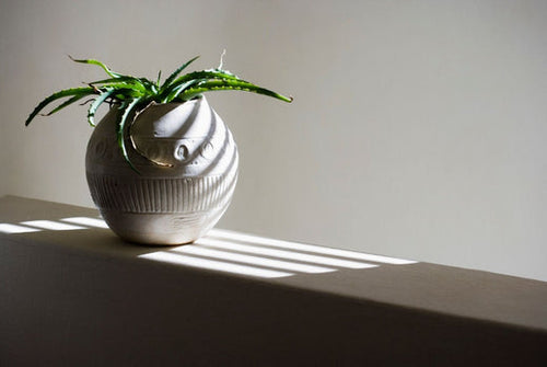 Ways To Use Aloe Vera