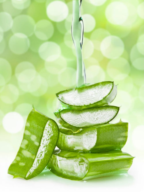 Aloe Vera For Hair Care