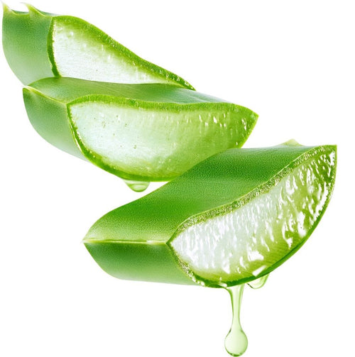aloe vera skin care