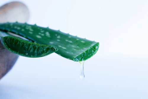 Aloevera good for skincare product