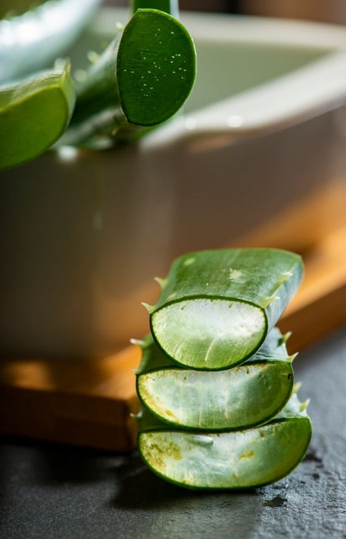 The 4 Main Benefits of Aloe Vera in Skin Care