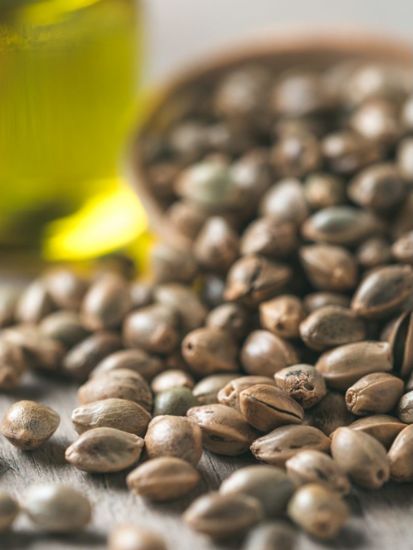 Benefits Of Hemp Seed Oil