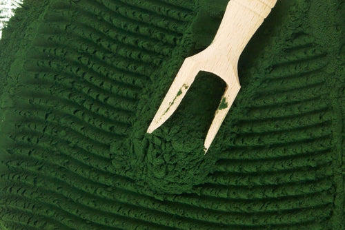 Blue Green Algae: The Superfood of Skin Care