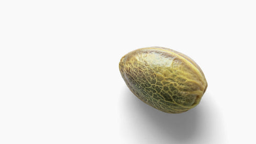 Benefits Of Hemp Seed Oil In Skin Care