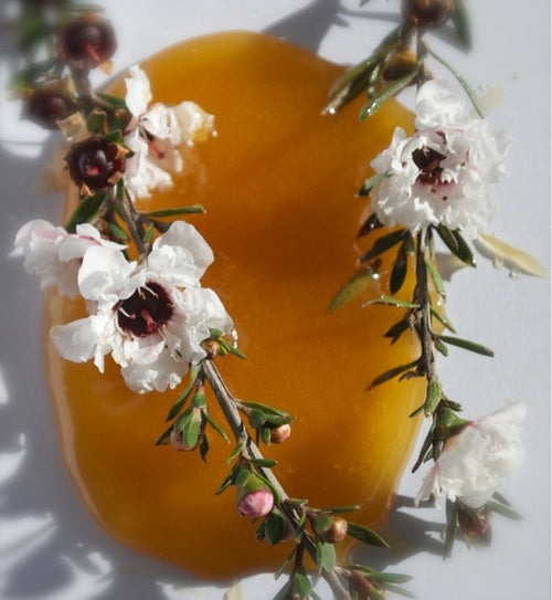 Why You Should Use Manuka Honey in Your Skin Care