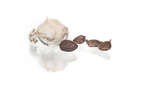OG Shea Butter Skin Care Ingredient