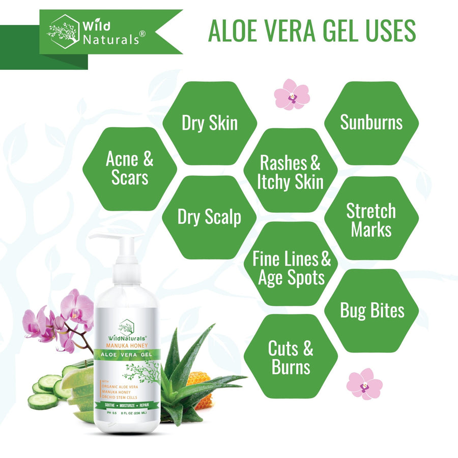 plant therapy aloe vera gel Aloe Vera Gel